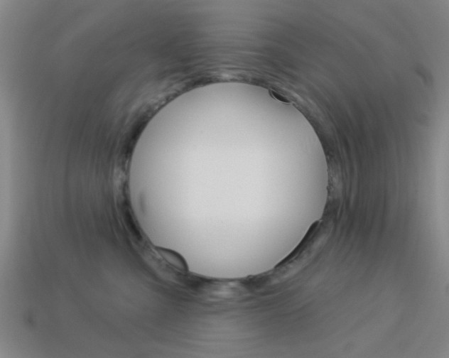 X0000113980427200910020952