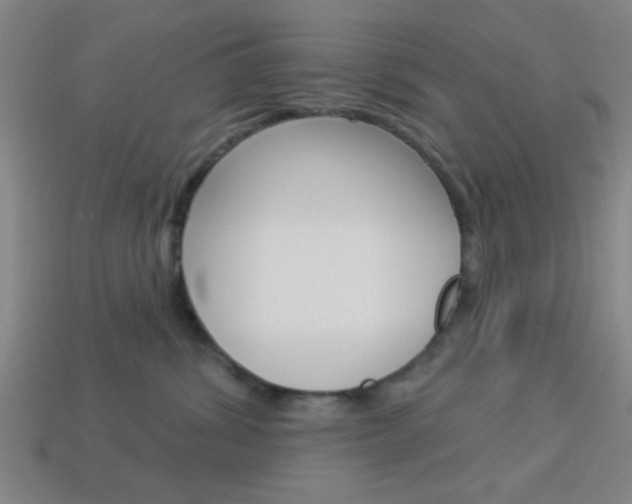 X0000113980428200910020952