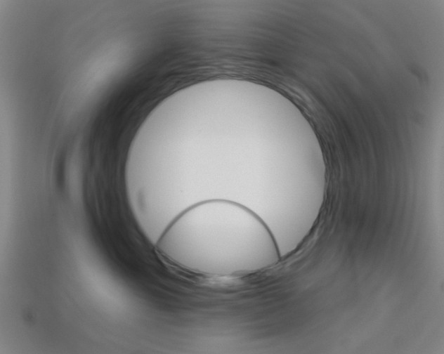 X0000113980429200910020952