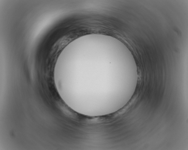 X0000113980430200910020952