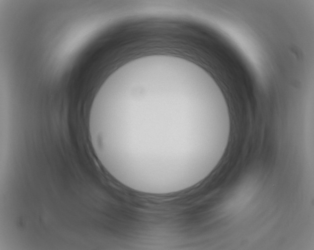 X0000113980431200910020952