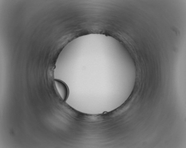 X0000113980432200910020952