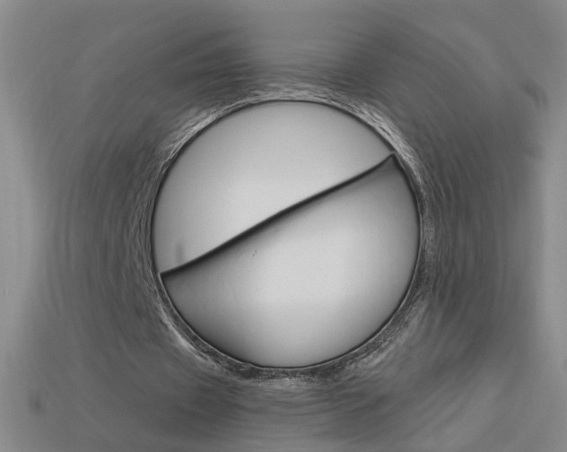 X0000113980433200910020952