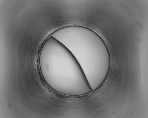 X0000113980434200910020952