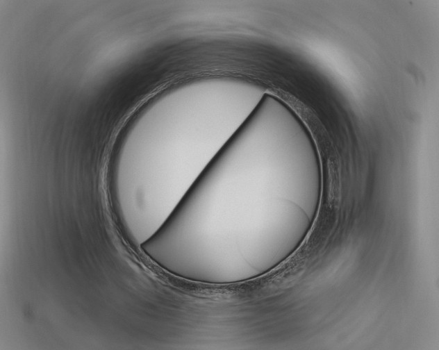 X0000113980435200910020952
