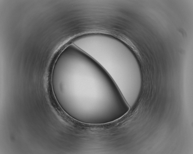 X0000113980436200910020952