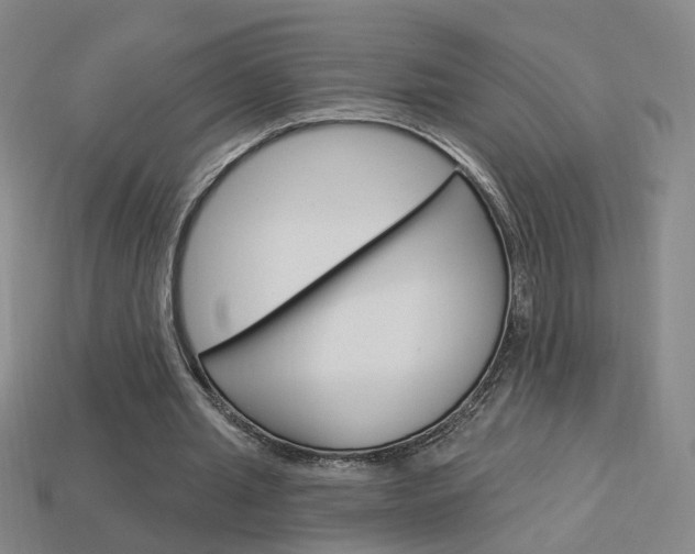 X0000113980437200910020952