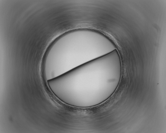 X0000113980439200910020952