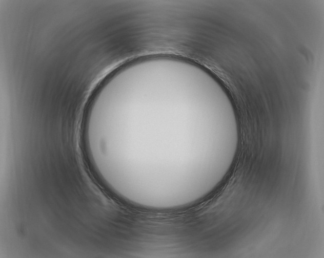 X0000113980440200910020952