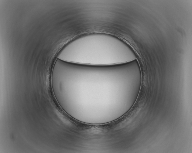 X0000113980441200910020952