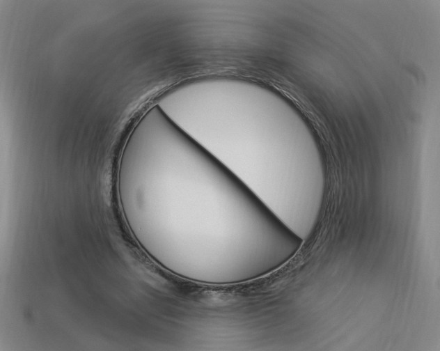 X0000113980442200910020952