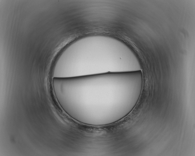 X0000113980443200910020952