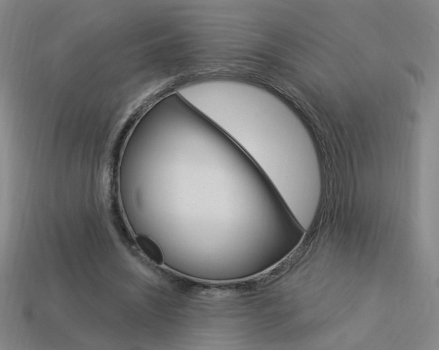 X0000113980444200910020952