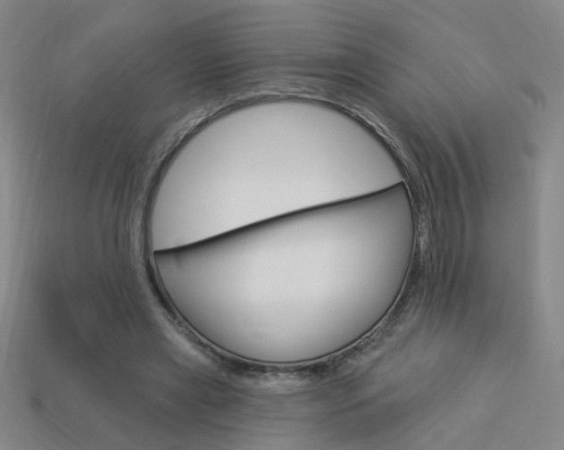 X0000113980445200910020952