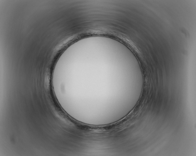 X0000113980446200910020952