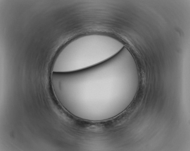 X0000113980447200910020952