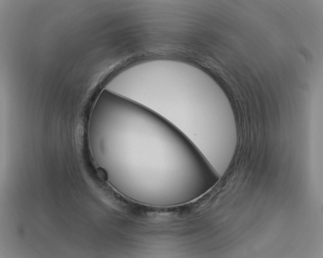 X0000113980448200910020952