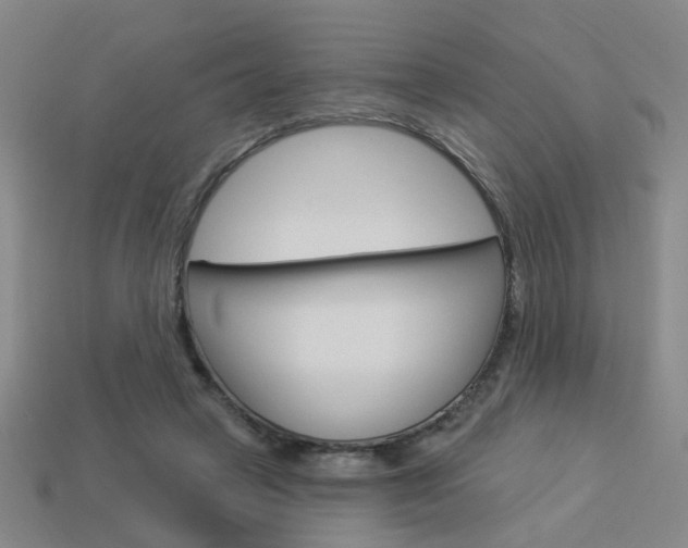 X0000113980449200910020952