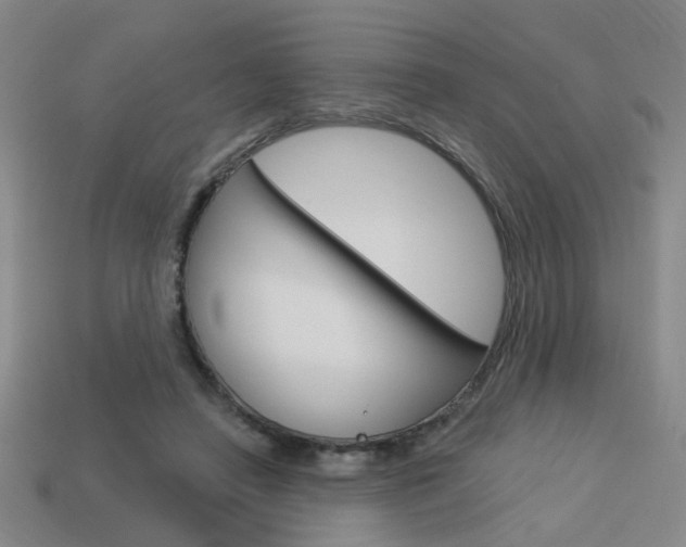 X0000113980450200910020952