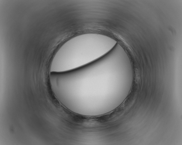 X0000113980451200910020952