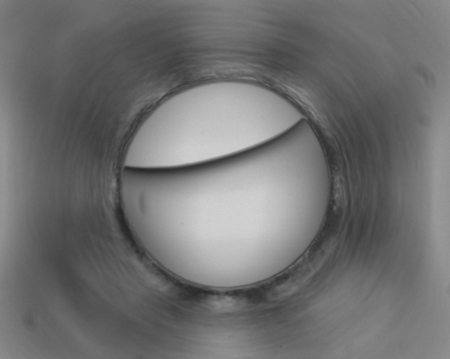X0000113980453200910020952