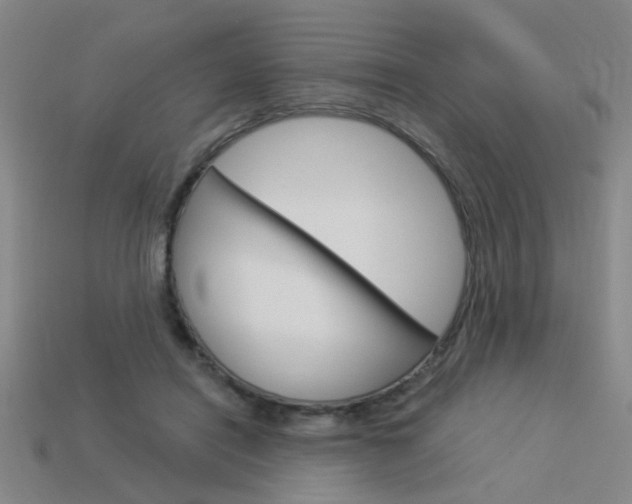 X0000113980454200910020952