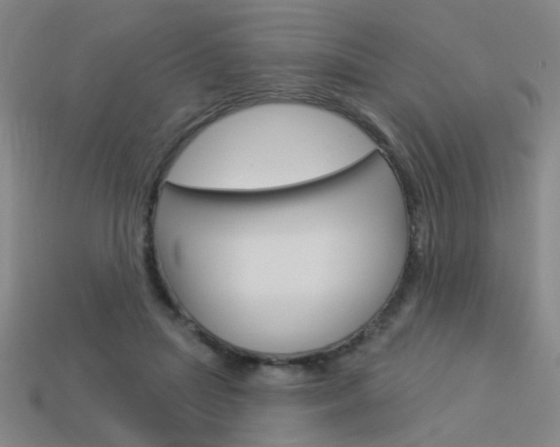 X0000113980455200910020952