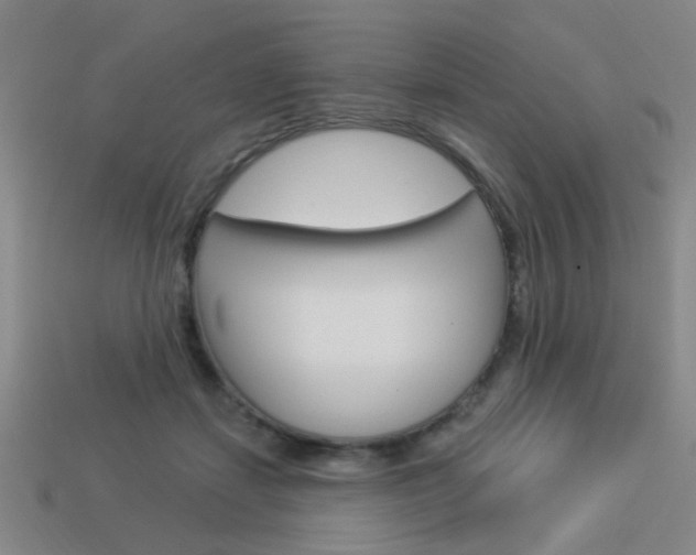 X0000113980459200910020952