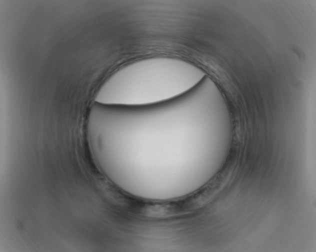 X0000113980461200910020952