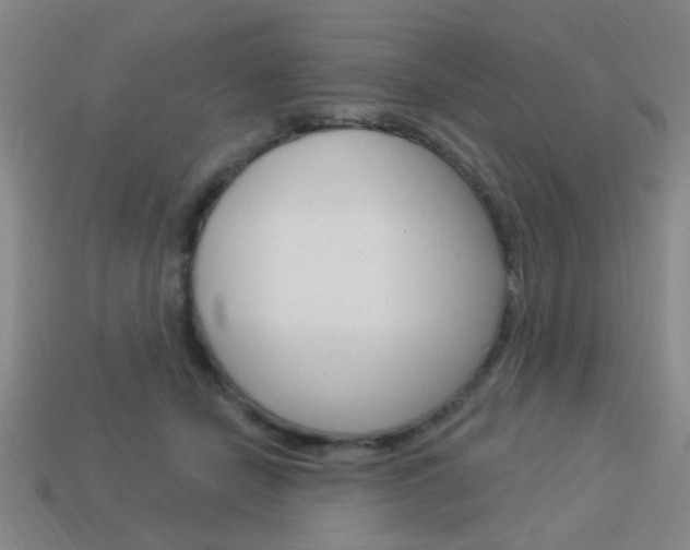 X0000113980462200910020952