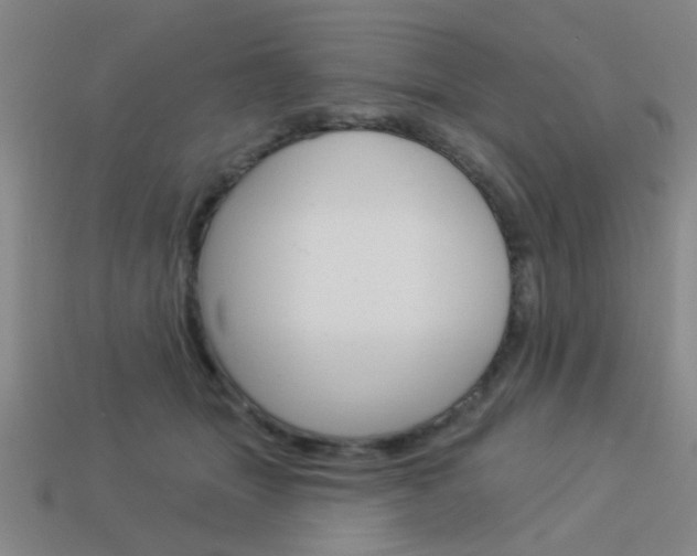X0000113980463200910020952