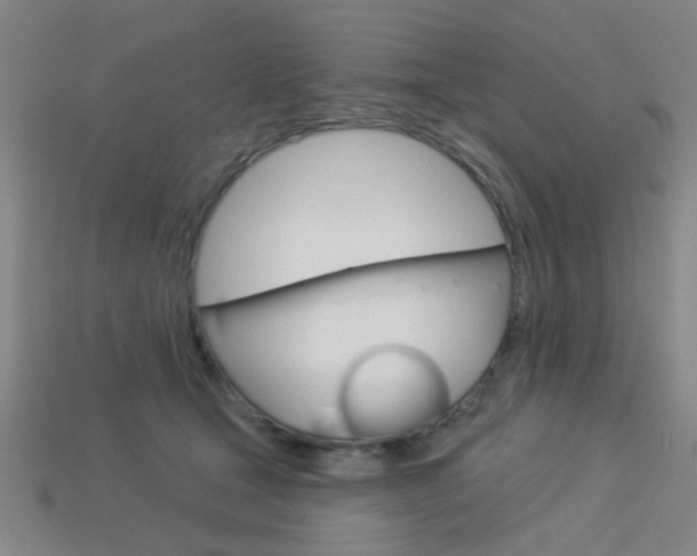 X0000113980465200910020952