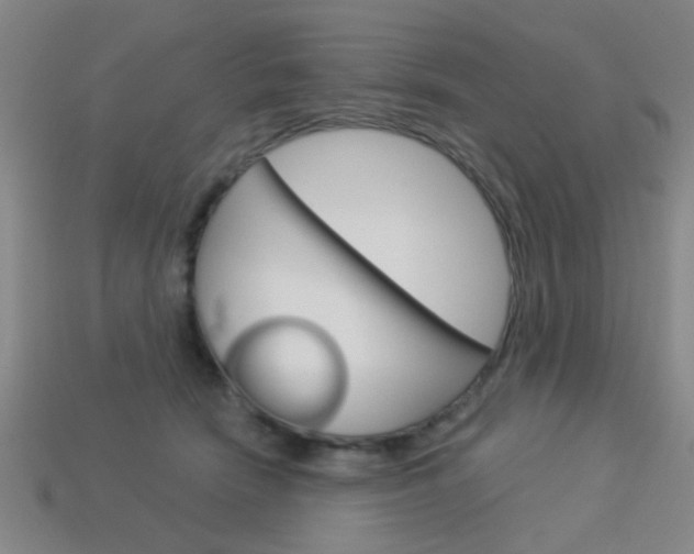 X0000113980466200910020952