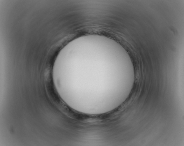 X0000113980468200910020952