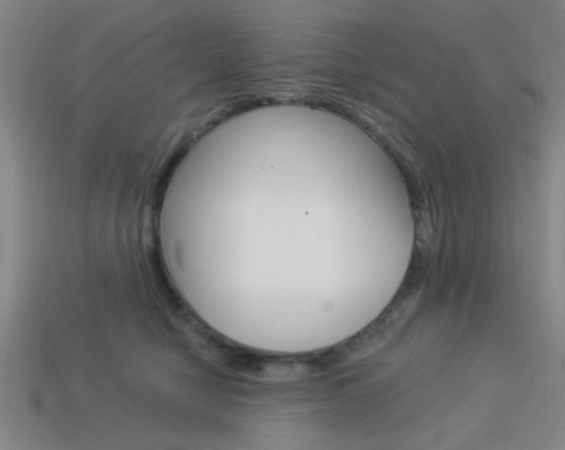 X0000113980470200910020952