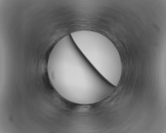 X0000113980474200910020952