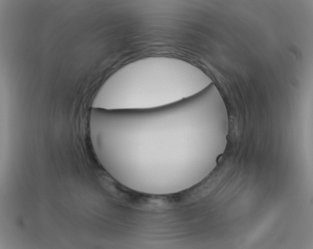 X0000113980475200910020952