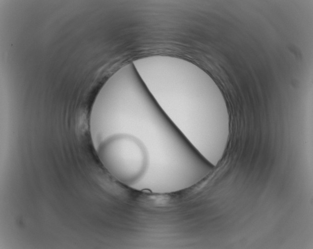 X0000113980478200910020952