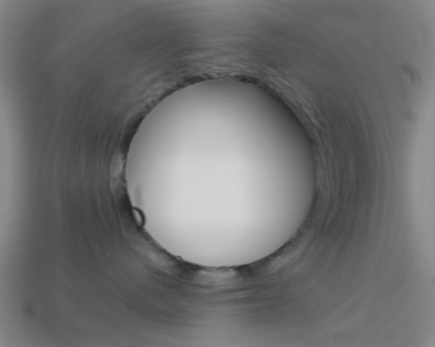 X0000113980480200910020952