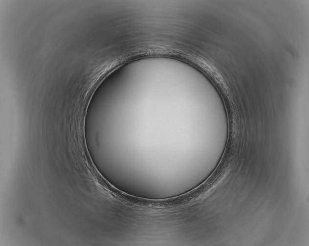 X0000113980481200910020952