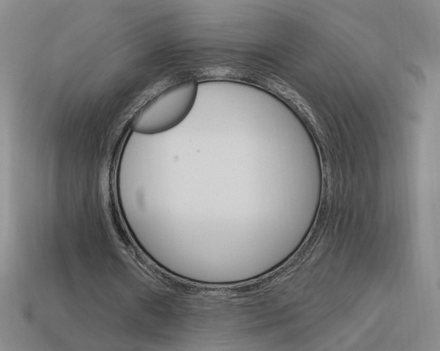 X0000113980482200910020952