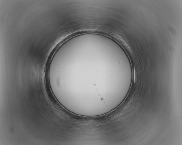 X0000113980483200910020952