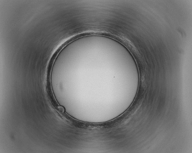 X0000113980484200910020952