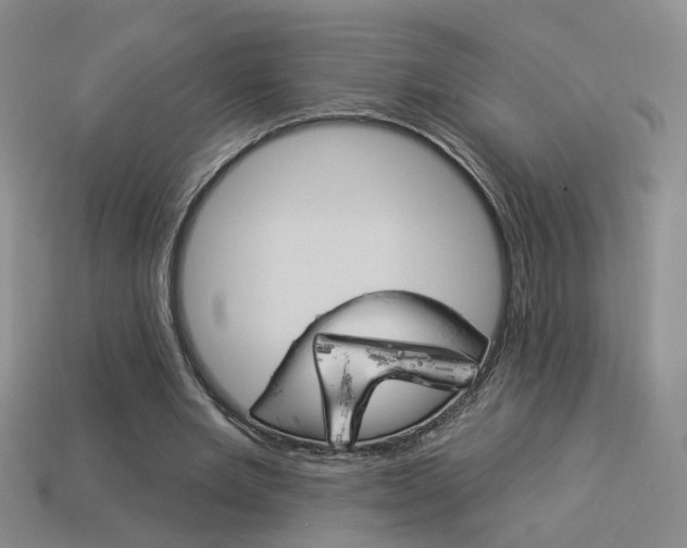 X0000113980485200910020952