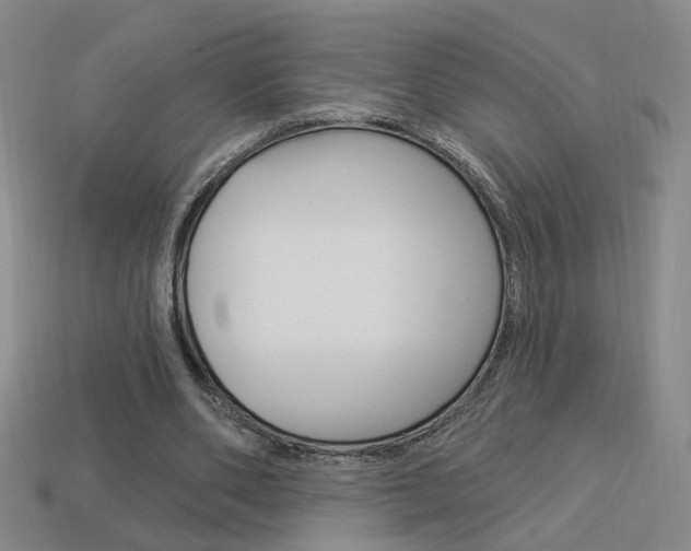 X0000113980486200910020952
