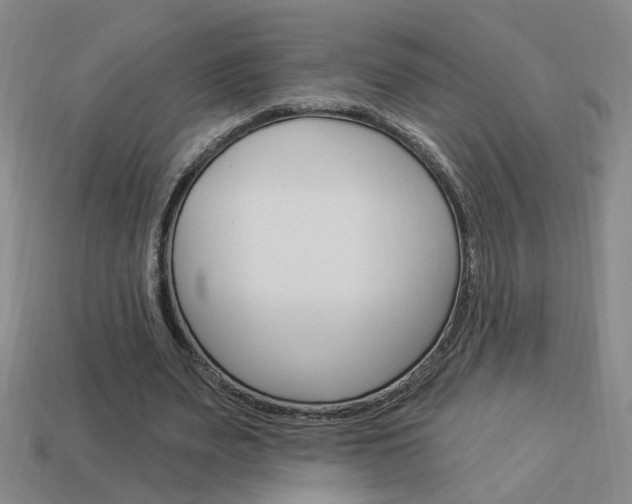 X0000113980487200910020952