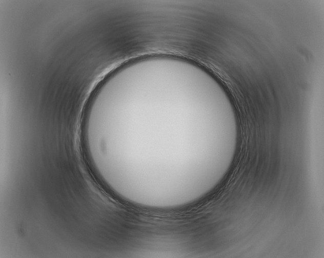 X0000113980488200910020952