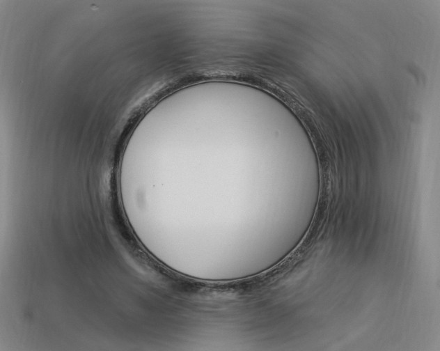 X0000113980491200910020952