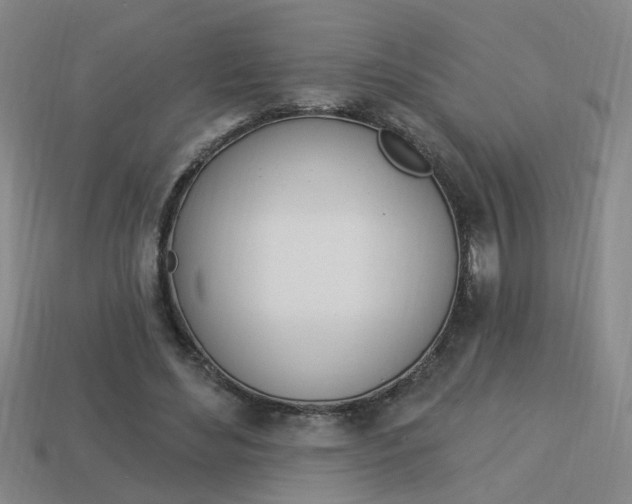 X0000113980492200910020952