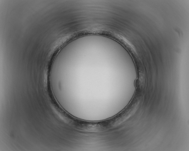 X0000113980493200910020952